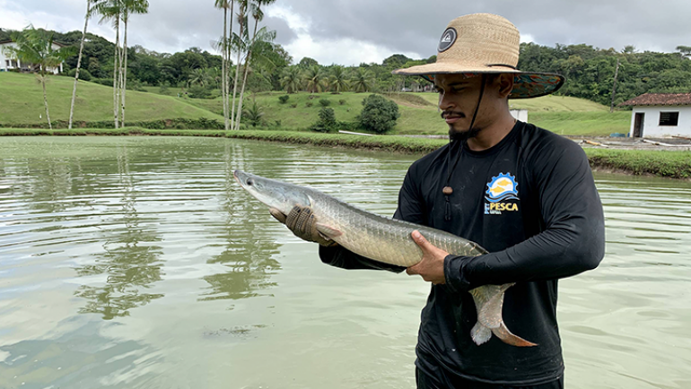 Michel Martins Bandeira