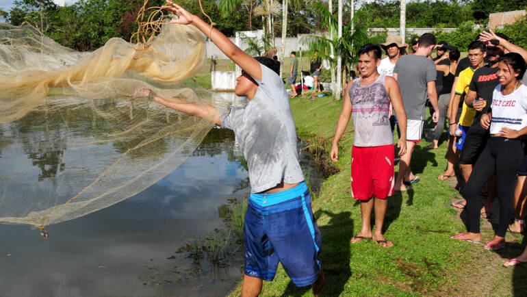 Training of Newcomers