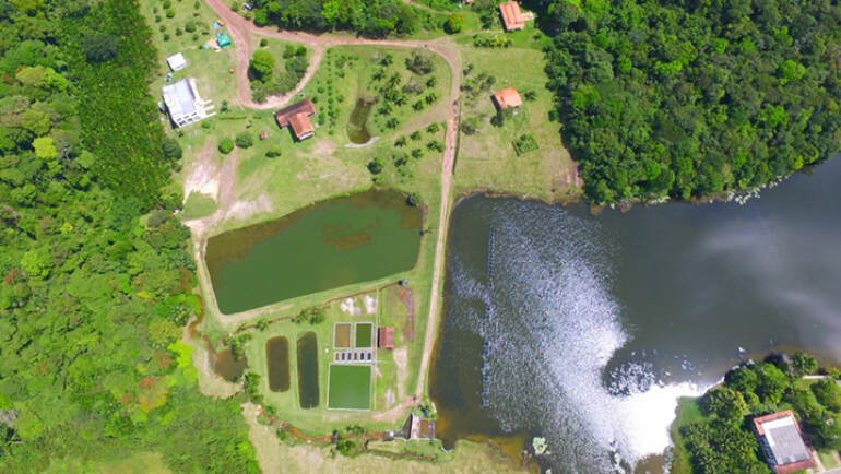 Training participants