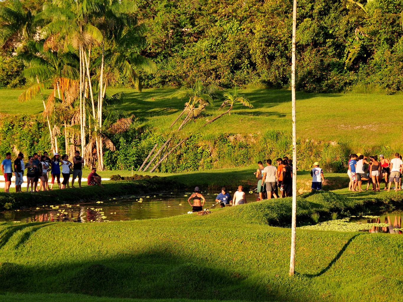 Treinamento de Férias