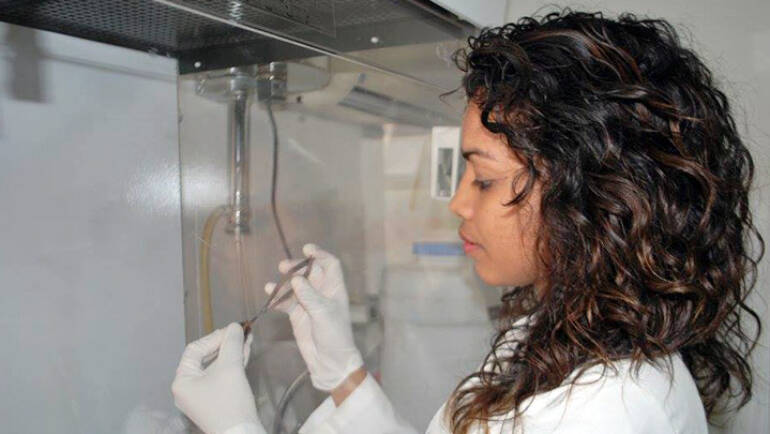 Morfometría del gastrópodo antártico