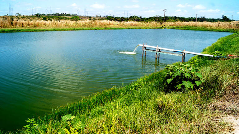 Caracterización de la piscicultura