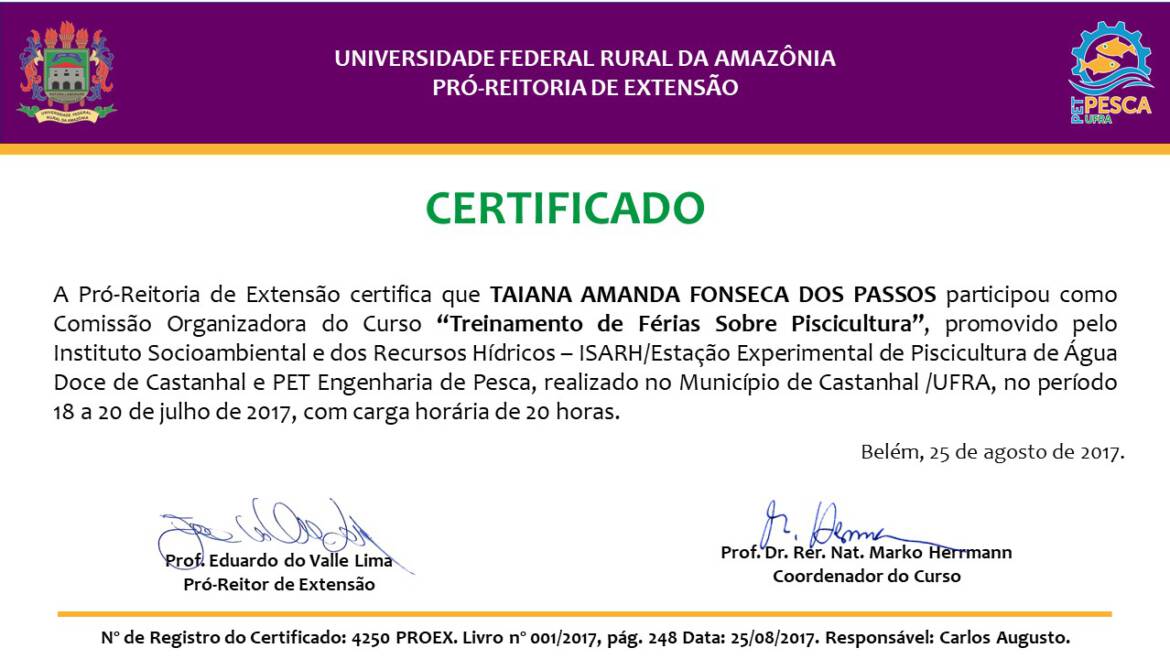 Certificados – Formación en vacaciones