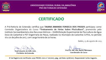 Certificados – Formación en vacaciones