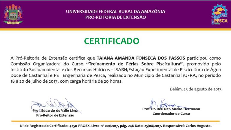 Certificados – Formación en vacaciones