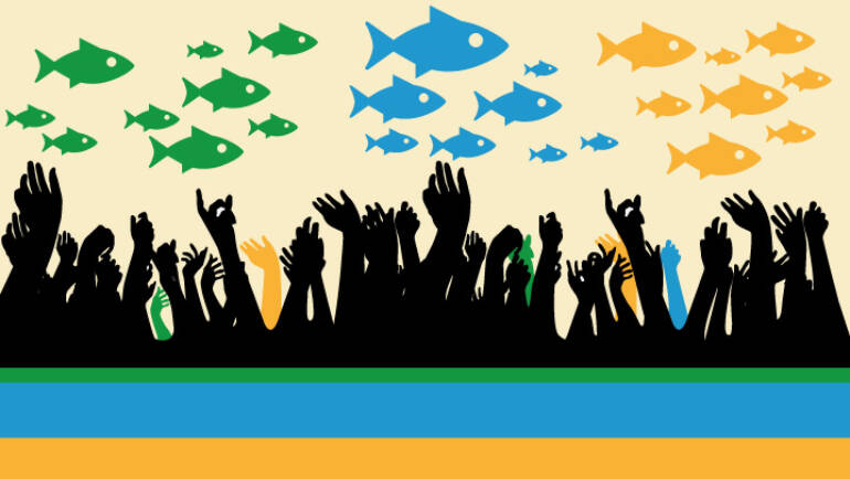 Seleção de não-bolsista