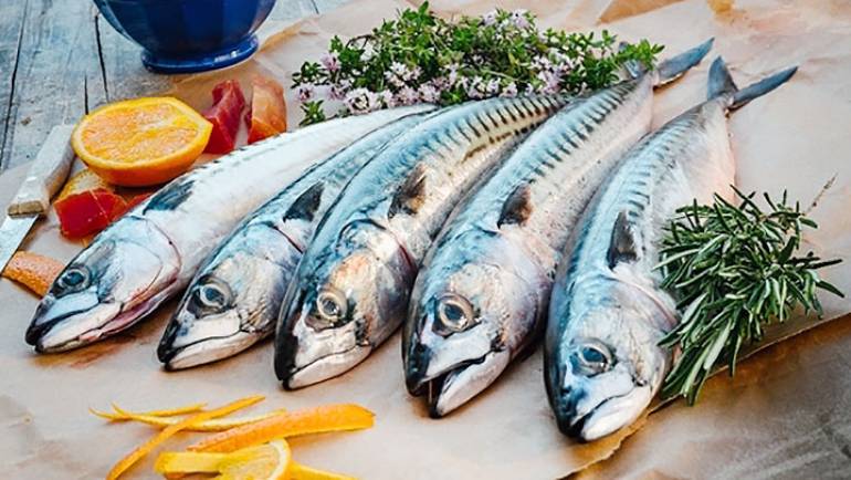 Resultado final da 4. Seleção