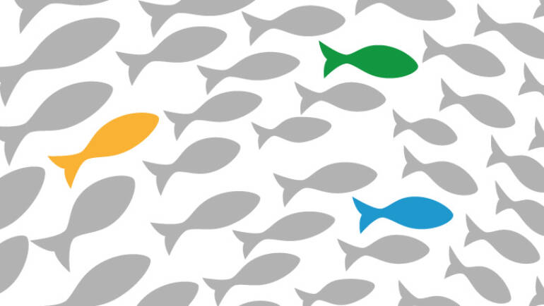 Seleção de não-bolsista