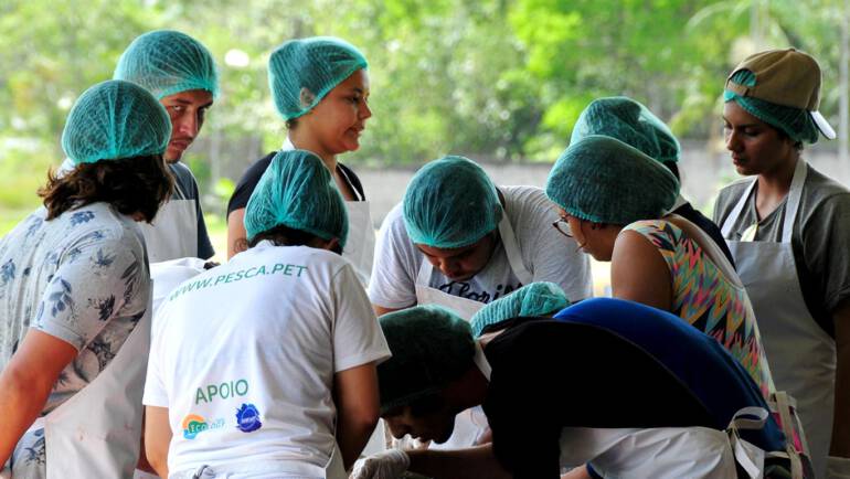 Vacation Training 2019