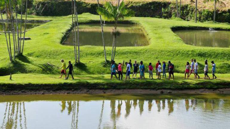 Treinamento de Férias 2019: Certificados disponíveis!