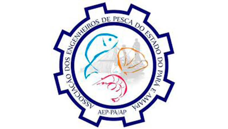 Creación de AEP-PA/AP