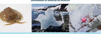 Ecologia Antártica – Inscrições abertas