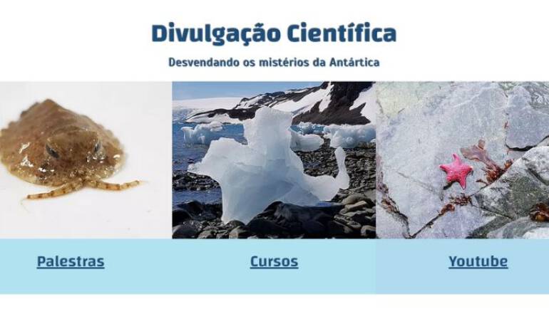 Ecologia Antártica – Inscrições abertas