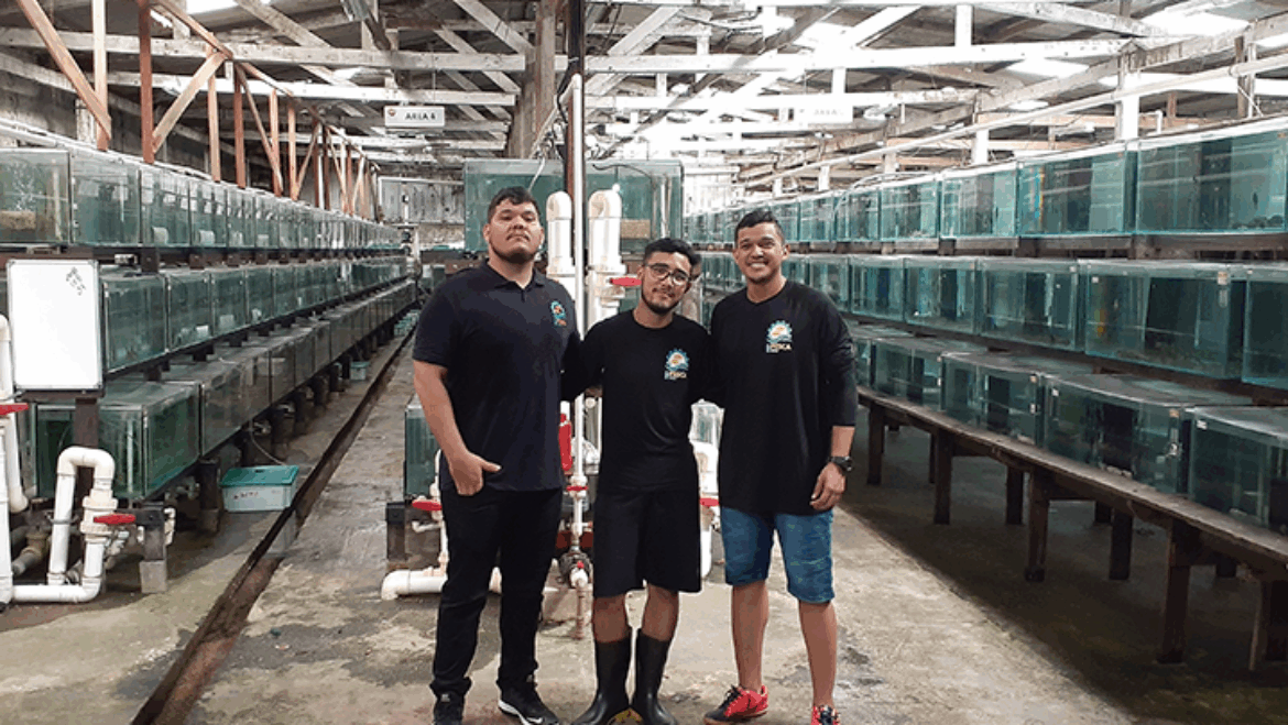 Internship at Arapaima Brasil