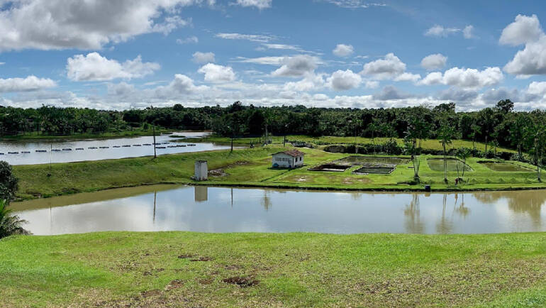 Criação da estação de piscicultura em Castanhal