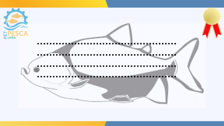 Certificados do VII Capacita PET