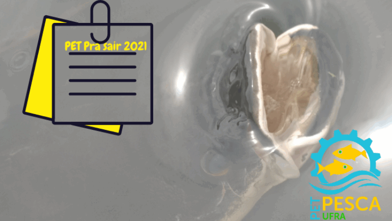 PET Pra sair 2021: Nota oficial