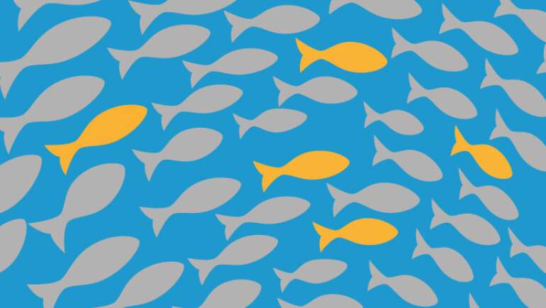 Resultado Final da 1° Seleção de 2022