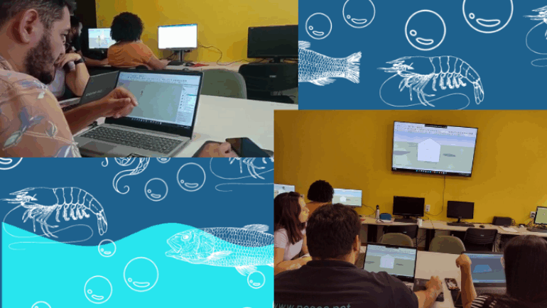Capacita PET: Curso de SketchUp