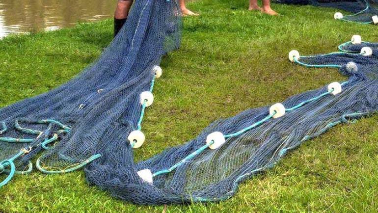 Certificados I Capacita PET de 2022