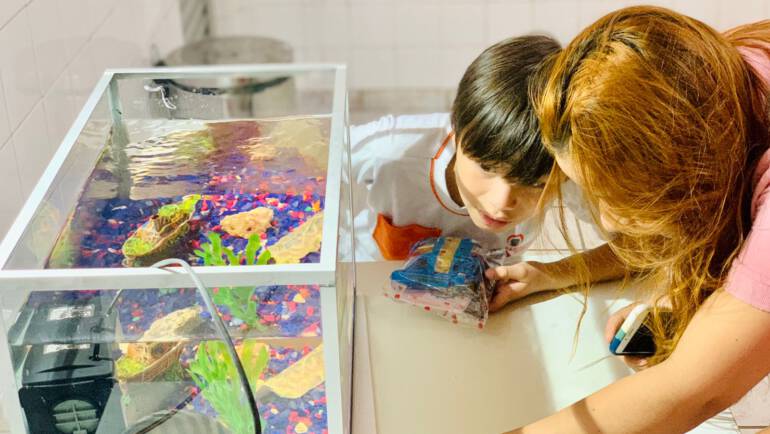 III PET nas Escolas 2022