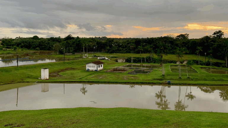Inscrição PET Pra Sair 2022
