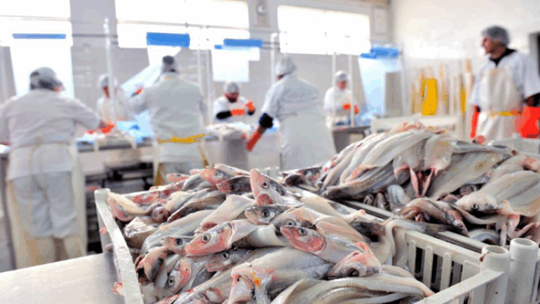 Inscrições para Projeto “Engenheiro de Pesca por um dia”